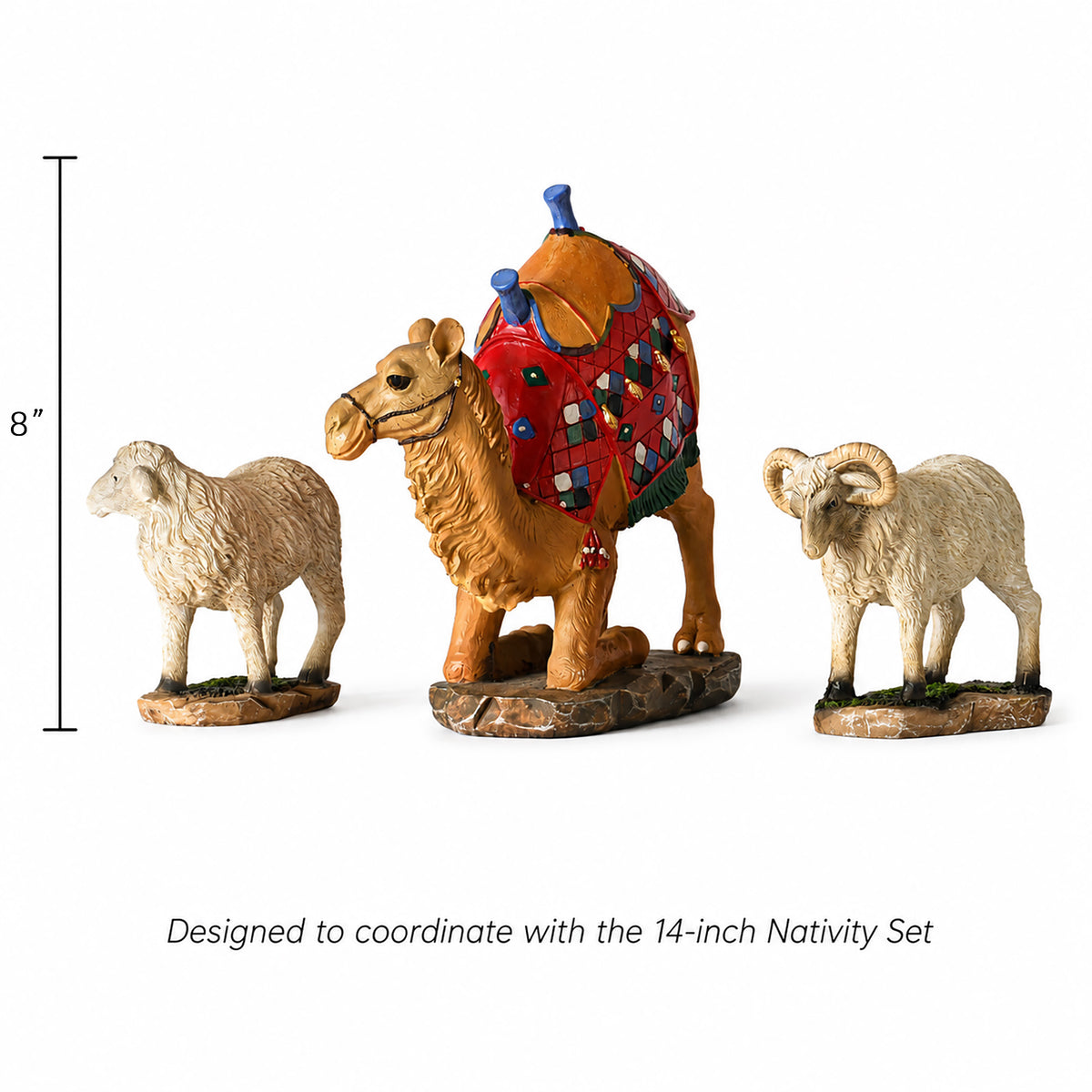 Large Bowed Camel & Awassi Sheep, 3-Piece Set – 14-Inch Scale, view 2