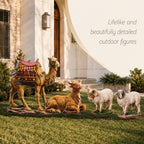 Outdoor Nativity Animals, 4-Piece Set, view 4