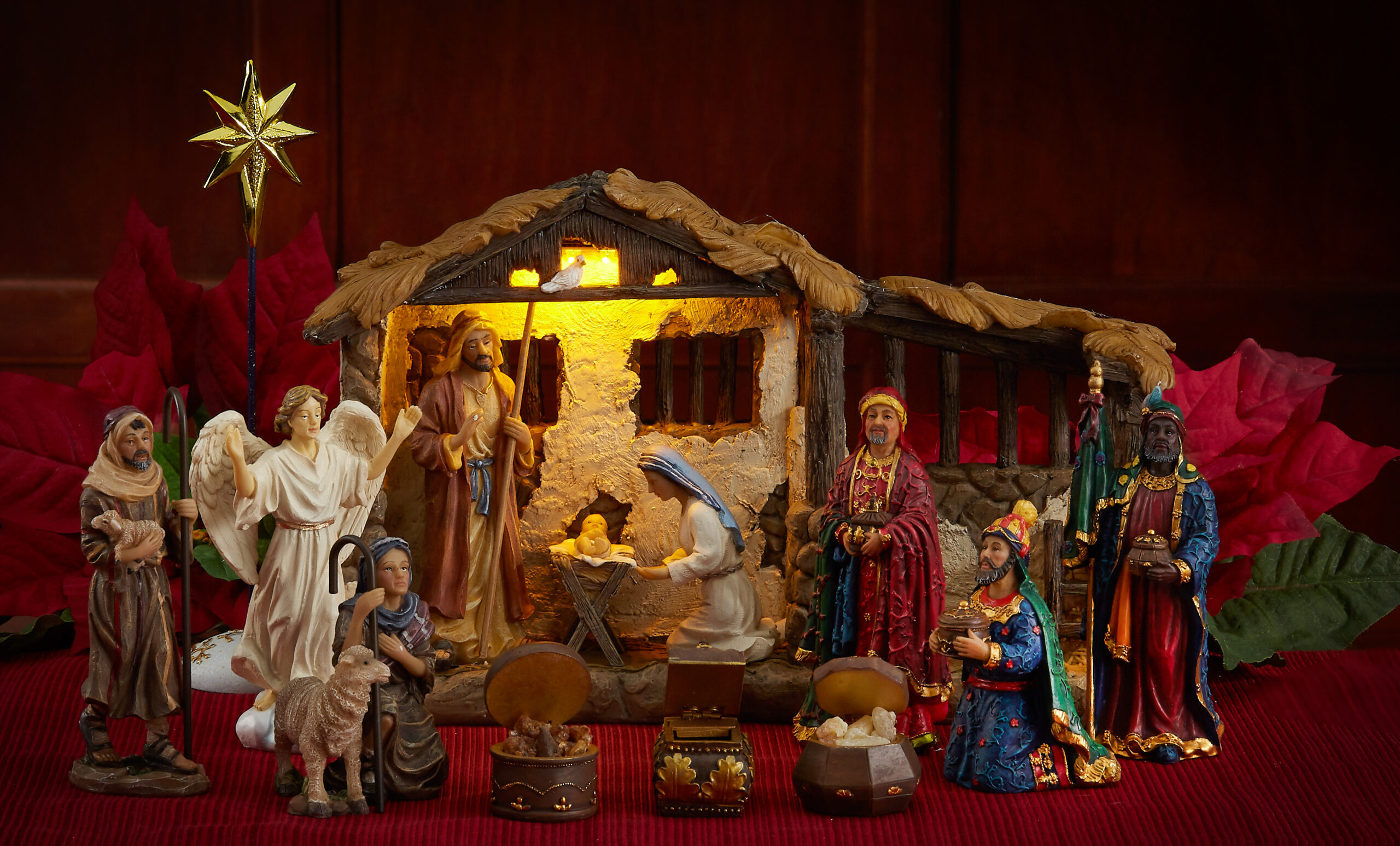 The Complete 5" 23 piece Real Life Nativity (RLN057)